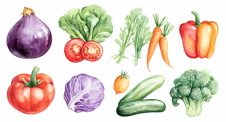 Vibrant Watercolor Vegetables: A colorful assortment of fresh, meticulously painted vegetables including eggplant, tomatoes, lettuce, carrots, and more.