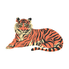 tiger on white background