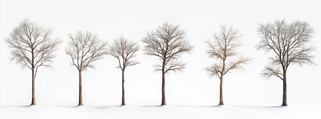 Barren Tree Collection Six Minimalist Illustration on White Background