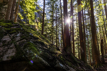 Fototapety na wymiar - Fototapeta24.pl