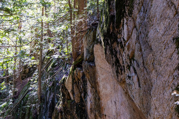 Scenic View of Forested Rocky Cliffs at Chief Mountain in Squamish, BC, Canada