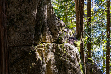 Close-Up of Moss-Covered Rock Face in Forest Setting, Chief Mountain, BC