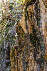 Mossy Rocky Cliff at Chief Mountain in Squamish, BC, Canada
