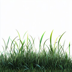 Fototapeta premium green grass on white background