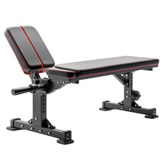 A sleek, adjustable weight bench designed for fitness training, featuring a padded surface and sturdy frame.