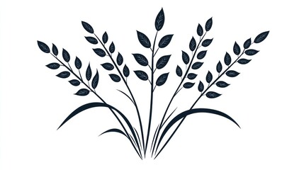 Fototapeta premium Dark stylized wheat stalks, isolated on white, agriculture design