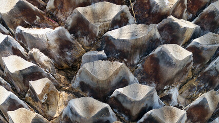 rocks, still life, textured