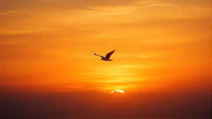 Naklejka premium A bird flying in an orange sky.
