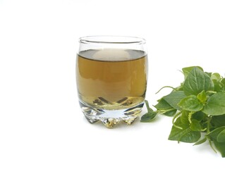 boiled shiny bush-pepper leaf (Peperomia pellucida) water in a glass isolated on white background, herbal drinks for health 