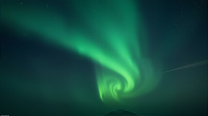 Fototapeta premium A green northern lights on the dark sky.