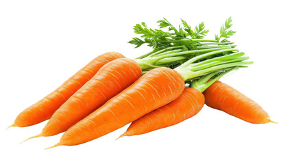 Freshly harvested organic carrots with lush green tops showcasing the natural bounty and vibrant colors of the autumn harvest  This healthy