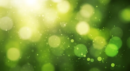 Fototapeta premium 緑輝くボケ、爽やかで優しい光、自然の輝き