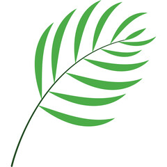 Leaf Shape Illustration