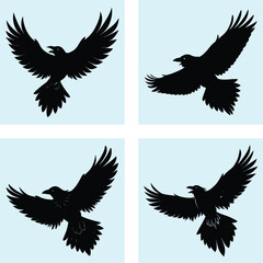 Obraz premium Flying Raven Silhouette vector illustration