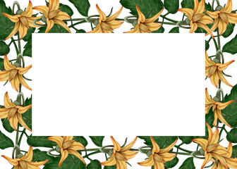 Watercolor frame with tomato flowers and green leaves on a white background. Perfect for postcards, menus, packaging, and culinary projects.