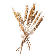 Fototapeta premium Golden Wheat Stalks: A close-up capture of a bundle of golden wheat stalks, showcasing the natural beauty and textures, perfect for agricultural or harvest-themed projects.