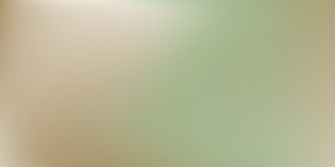 gray and white abstract background modern vector illustration