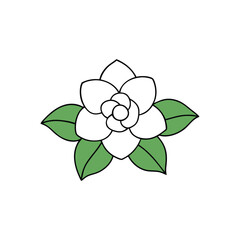 gardenia flower on a white background.