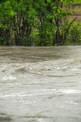 Local flood waters in Brisbane, Queensland after heavy rain caused by Cyclone Alfred.