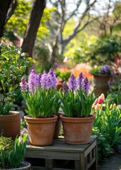 Beautiful purple flowers in terracotta pots surrounded by vibrant garden scenery showcasing spring blooms and lush greenery in a sunny outdoor setting