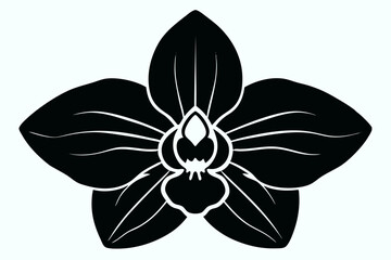 Creative Flower silhouette vector style with white background
