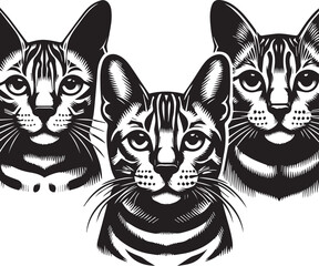 Fototapeta premium Bengal cat vector in black and white