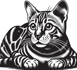 Bengal cat vector in black and white