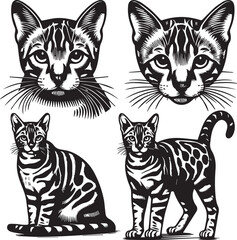 Bengal cat vector in black and white