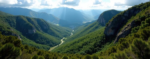 Close-up of a Tamborine Mountain pan, Queensland, Australia , still life, vintage