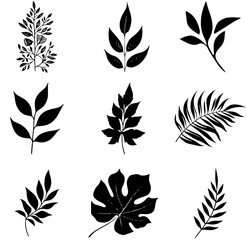 Botanical Silhouettes: A Collection of Leaf Designs