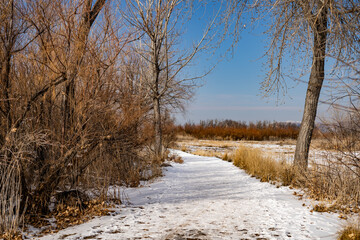 Snow covered path adventure journey sunny winter day
