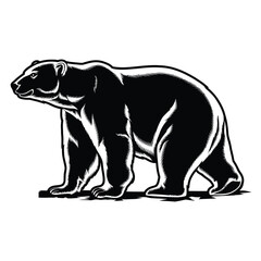 Polar bear on ice Silhouette, Vector, Icon, Logo, White Background.