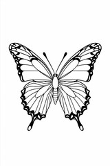 Obraz premium Butterfly Coloring book Page
