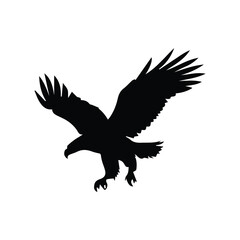 Powerful Eagle Silhouette in Flight