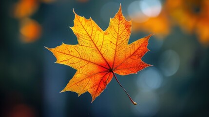 Obraz premium Autumn leaf, vibrant colors, forest backdrop, bokeh effect