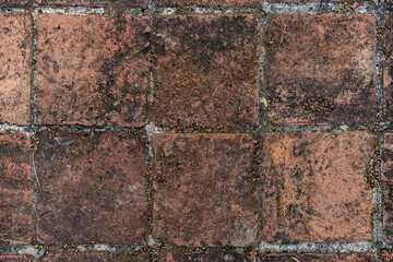 Weathered terracotta tiles form a textured surface, showcasing age and rustic charm. Ideal for backgrounds or architec