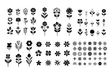Elegant Black & White Rose Illustrations