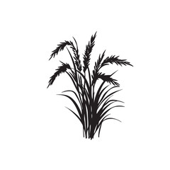 Rice Plant Illustration vector
