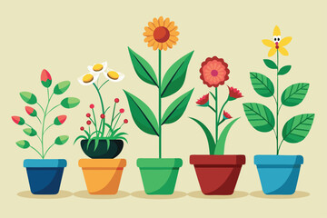 Fototapeta premium This visual details the progression of indoor flowering plants in pots, showcasing their growth stages clearly, Stages of growing beautiful indoor flowering plant,