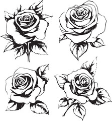Obraz premium Elegant Black & White Rose Illustrations