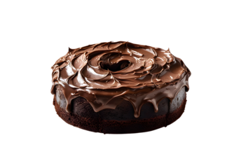 chocolate cake coated with chocolate isolated on white background