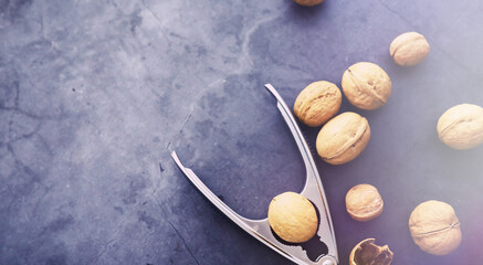 Walnuts in a shell on a gray background. Nutcracker and scattering of nuts.