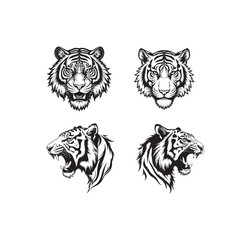 Tiger vector file 