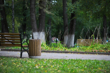 Bench in a park on a sunny autumn morning. Morning walk.