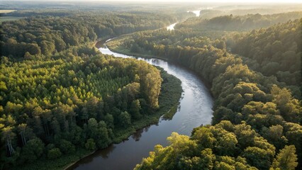 Obraz premium Aerial View of a Meandering River through a Forest
