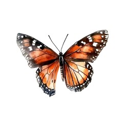 Obraz premium Monarch butterfly watercolor painting nature art isolated view beautiful environment