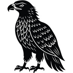 Eagle silhouettes set, large pack of vector silhouette design, isolated white background