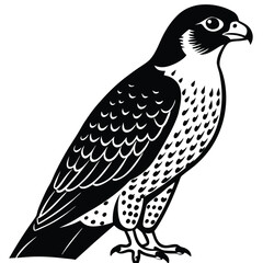 Eagle silhouettes set, large pack of vector silhouette design, isolated white background