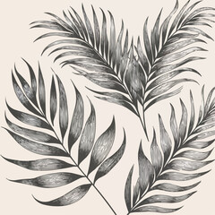 Obraz premium Elegant monochrome tropical leaves illustration 