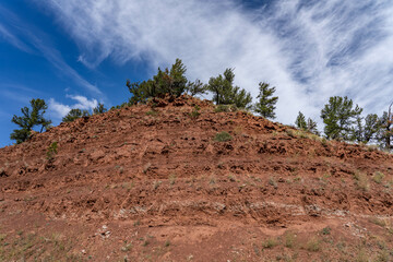 Forest Rd, Kelly, Wyoming. The Chugwater Formation is a mapped bedrock unit consisting primarily of red sandstone, siltstone, shale，Alcova Limestone, Pinus flexilis, Rocky Mountain white pine 